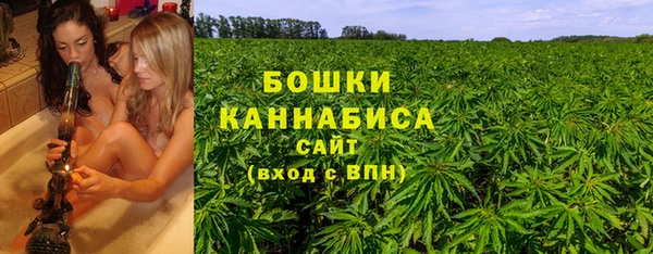 гидра Алексеевка