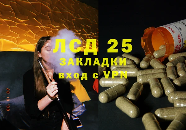 гидра Алексеевка