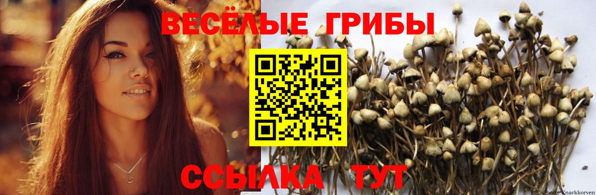 Галлюциногенные грибы GOLDEN TEACHER Набережные Челны